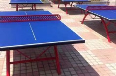 乒乓球桌 (3)